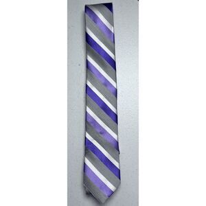 Express Grey Purple Striped‎ Silk Skinny Tie NWT